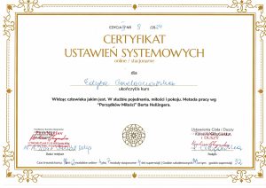 2024-11-17 Certyfikat