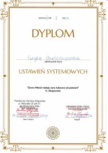 2024-11-17 Dyplom